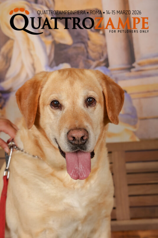 Concorso Fotografico - QuattroZampe in Fiera - Roma - Marzo 2026