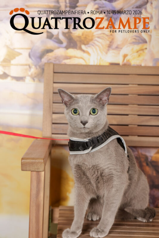 Concorso Fotografico - QuattroZampe in Fiera - Roma - Marzo 2026