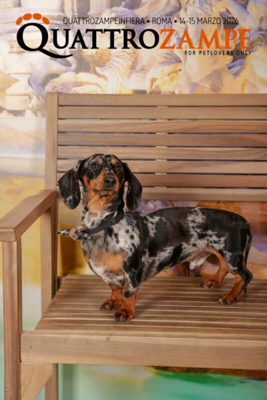 Concorso Fotografico - QuattroZampe in Fiera - Roma - Marzo 2026
