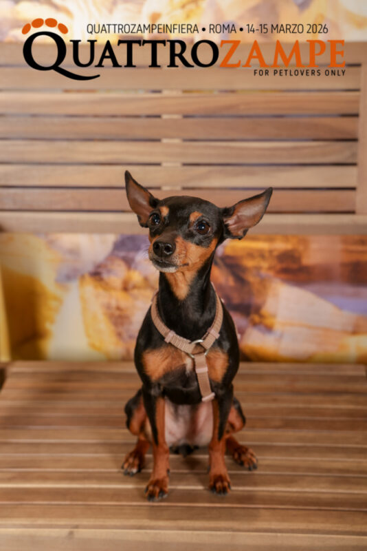 Concorso Fotografico - QuattroZampe in Fiera - Roma - Marzo 2026