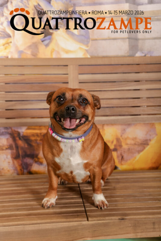 Concorso Fotografico - QuattroZampe in Fiera - Roma - Marzo 2026