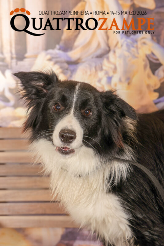 Concorso Fotografico - QuattroZampe in Fiera - Roma - Marzo 2026