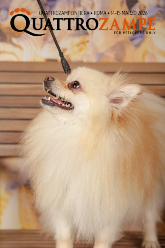 Concorso Fotografico - QuattroZampe in Fiera - Roma - Marzo 2026