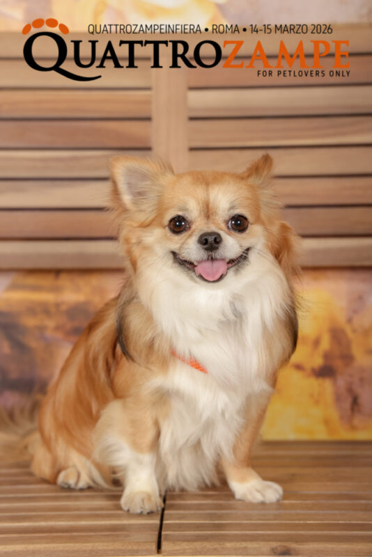 Concorso Fotografico - QuattroZampe in Fiera - Roma - Marzo 2026