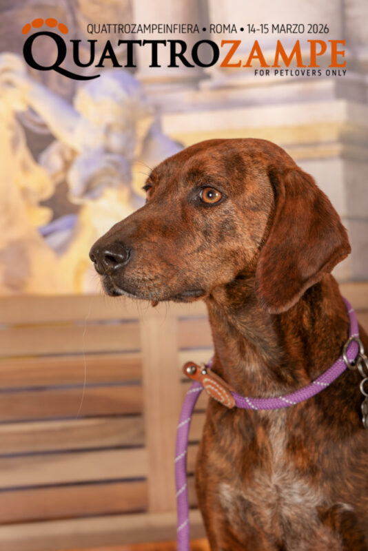 Concorso Fotografico - QuattroZampe in Fiera - Roma - Marzo 2026