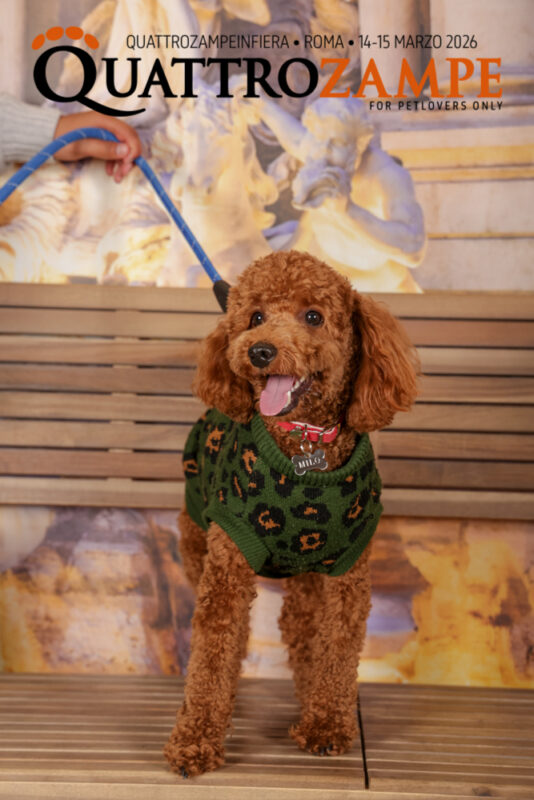 Concorso Fotografico - QuattroZampe in Fiera - Roma - Marzo 2026