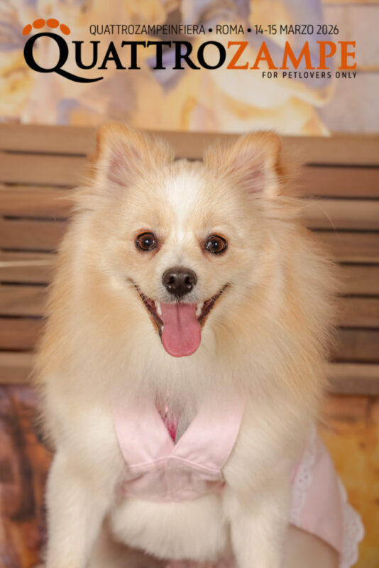 Concorso Fotografico - QuattroZampe in Fiera - Roma - Marzo 2026