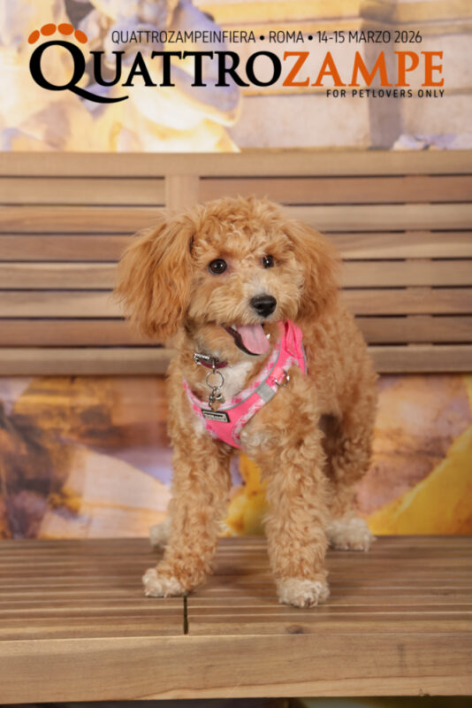 Concorso Fotografico - QuattroZampe in Fiera - Roma - Marzo 2026