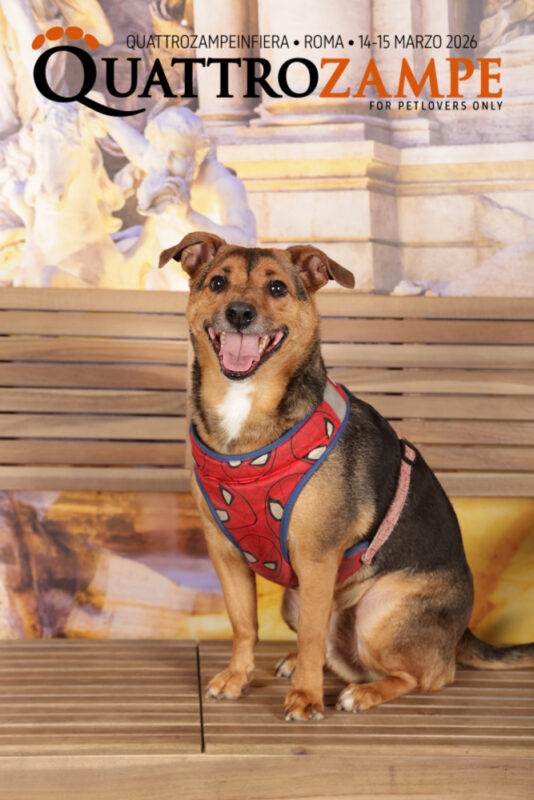 Concorso Fotografico - QuattroZampe in Fiera - Roma - Marzo 2026