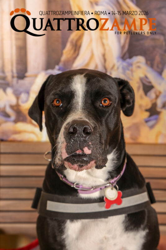 Concorso Fotografico - QuattroZampe in Fiera - Roma - Marzo 2026