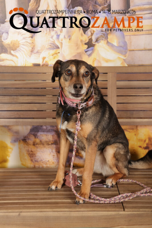 Concorso Fotografico - QuattroZampe in Fiera - Roma - Marzo 2026