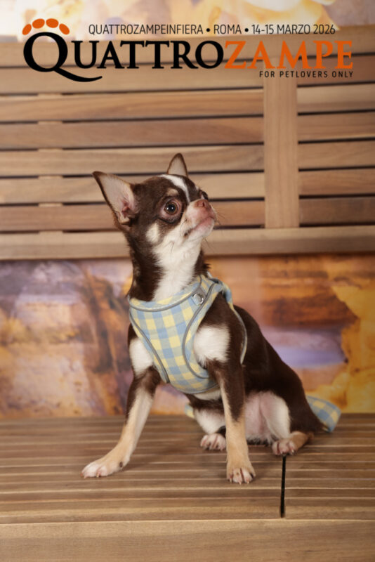 Concorso Fotografico - QuattroZampe in Fiera - Roma - Marzo 2026