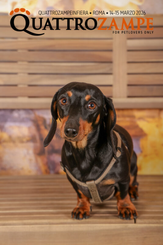 Concorso Fotografico - QuattroZampe in Fiera - Roma - Marzo 2026