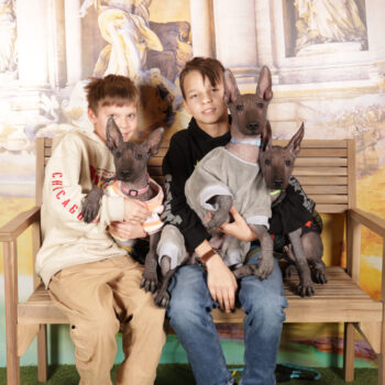 Concorso Fotografico - QuattroZampe in Fiera - Roma - Marzo 2026