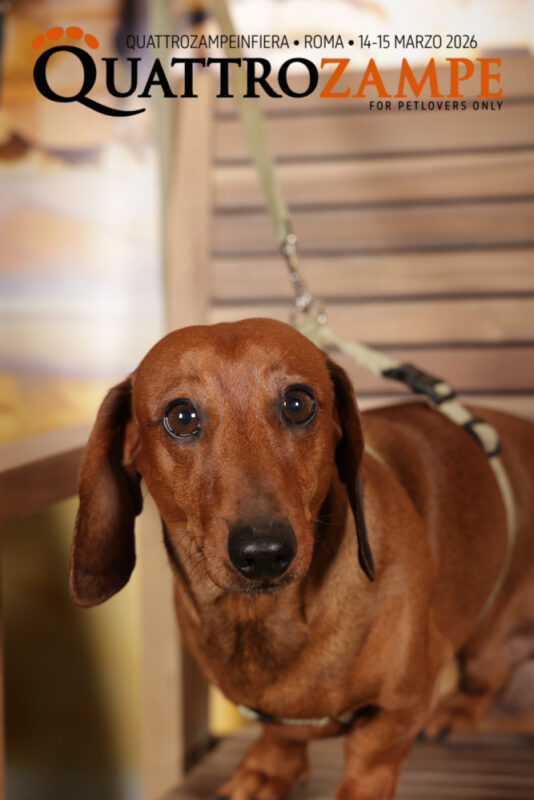 Concorso Fotografico - QuattroZampe in Fiera - Roma - Marzo 2026