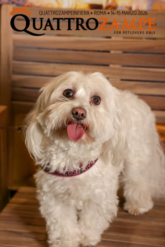 Concorso Fotografico - QuattroZampe in Fiera - Roma - Marzo 2026