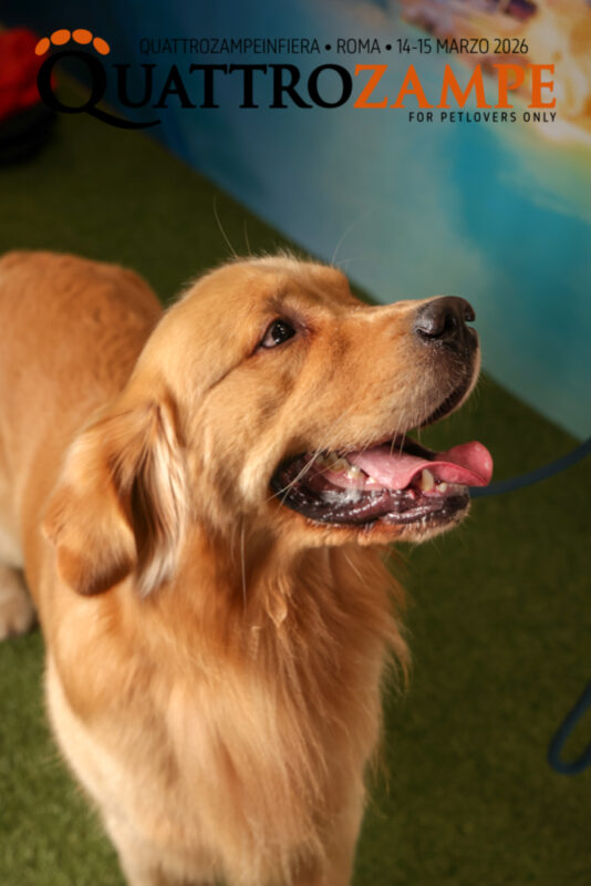 Concorso Fotografico - QuattroZampe in Fiera - Roma - Marzo 2026