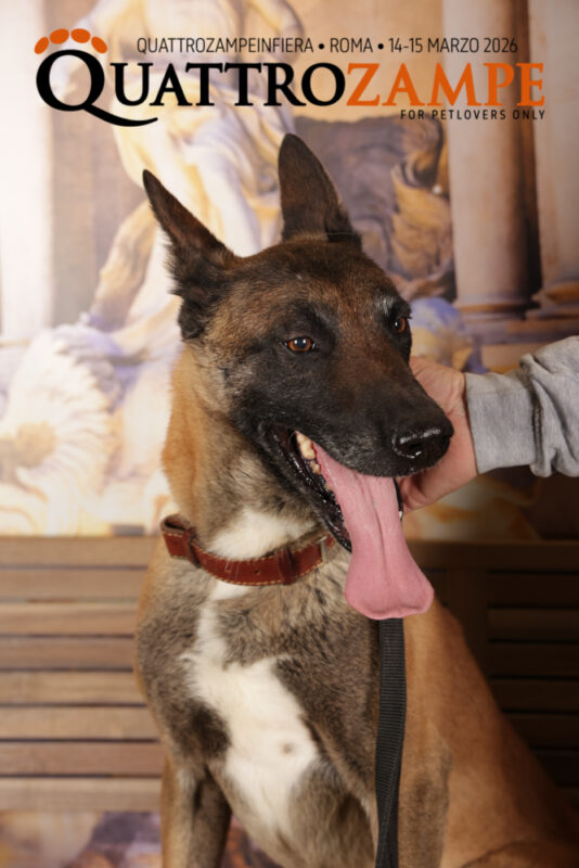 Concorso Fotografico - QuattroZampe in Fiera - Roma - Marzo 2026