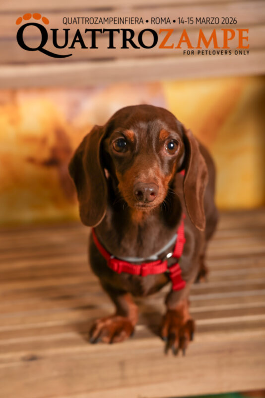Concorso Fotografico - QuattroZampe in Fiera - Roma - Marzo 2026