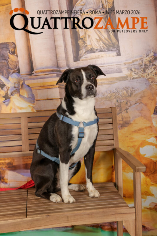 Concorso Fotografico - QuattroZampe in Fiera - Roma - Marzo 2026