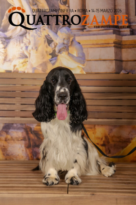 Concorso Fotografico - QuattroZampe in Fiera - Roma - Marzo 2026