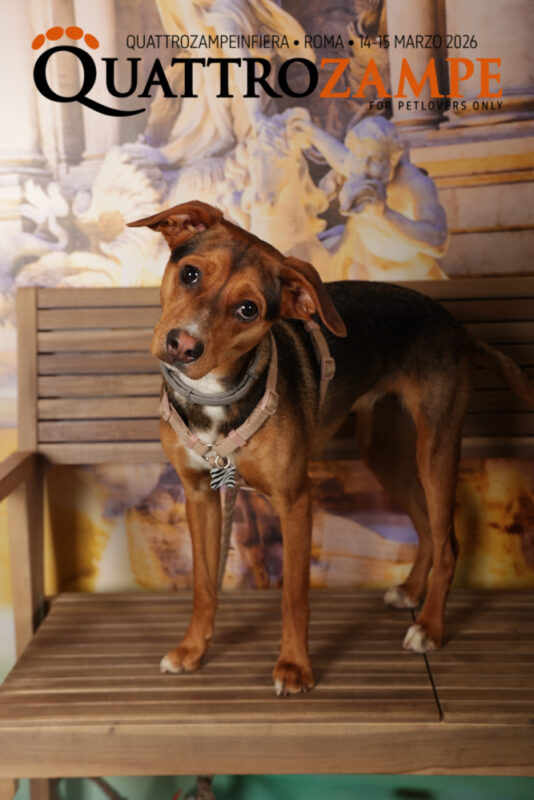 Concorso Fotografico - QuattroZampe in Fiera - Roma - Marzo 2026
