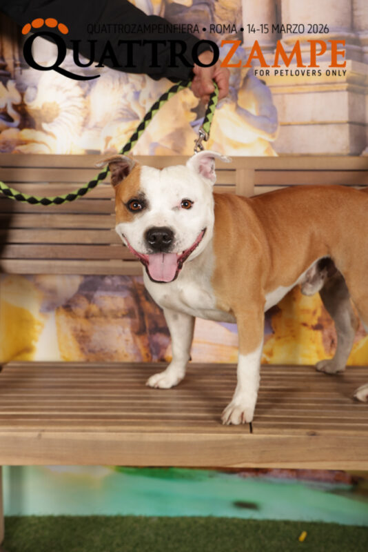 Concorso Fotografico - QuattroZampe in Fiera - Roma - Marzo 2026