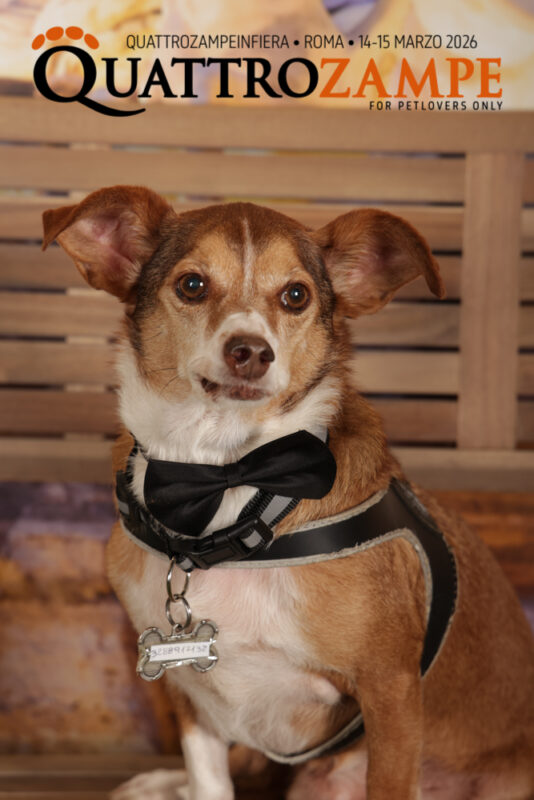 Concorso Fotografico - QuattroZampe in Fiera - Roma - Marzo 2026