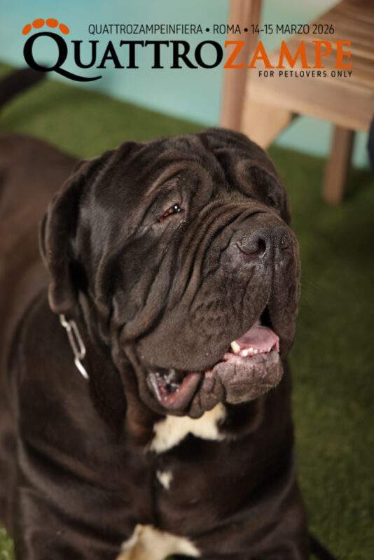 Concorso Fotografico - QuattroZampe in Fiera - Roma - Marzo 2026