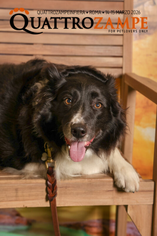 Concorso Fotografico - QuattroZampe in Fiera - Roma - Marzo 2026