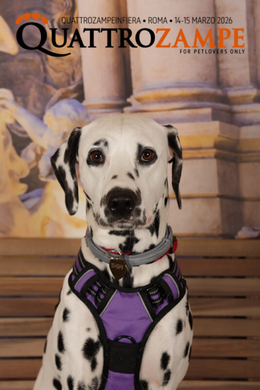 Concorso Fotografico - QuattroZampe in Fiera - Roma - Marzo 2026