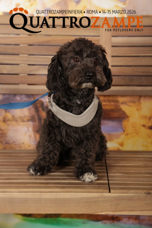 Concorso Fotografico - QuattroZampe in Fiera - Roma - Marzo 2026