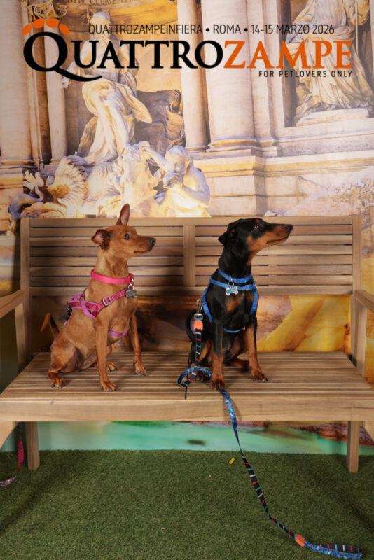 Concorso Fotografico - QuattroZampe in Fiera - Roma - Marzo 2026