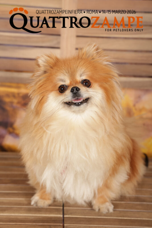 Concorso Fotografico - QuattroZampe in Fiera - Roma - Marzo 2026