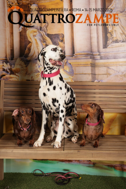 Concorso Fotografico - QuattroZampe in Fiera - Roma - Marzo 2026