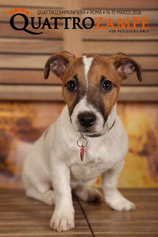 Concorso Fotografico - QuattroZampe in Fiera - Roma - Marzo 2026