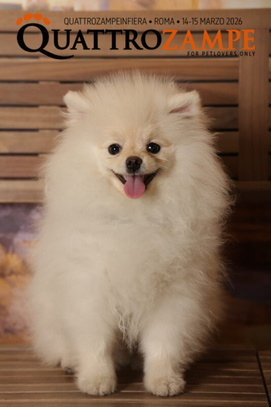 Concorso Fotografico - QuattroZampe in Fiera - Roma - Marzo 2026