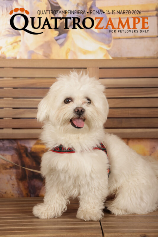 Concorso Fotografico - QuattroZampe in Fiera - Roma - Marzo 2026