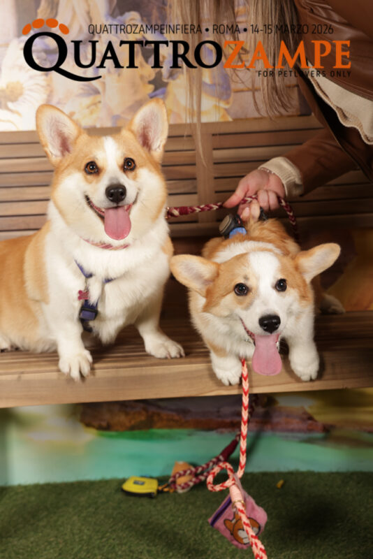Concorso Fotografico - QuattroZampe in Fiera - Roma - Marzo 2026