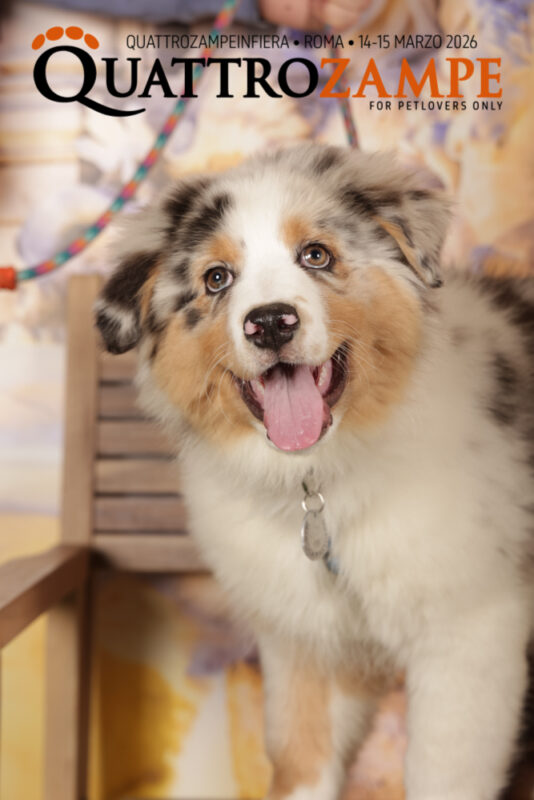 Concorso Fotografico - QuattroZampe in Fiera - Roma - Marzo 2026