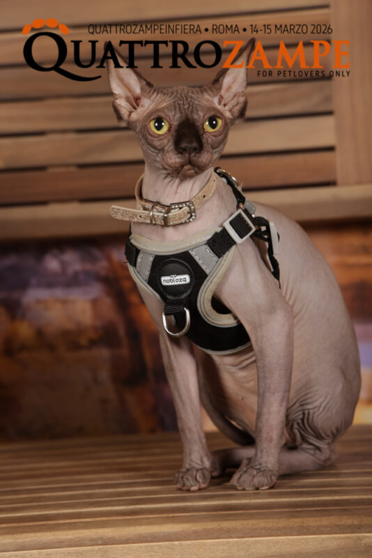 Concorso Fotografico - QuattroZampe in Fiera - Roma - Marzo 2026