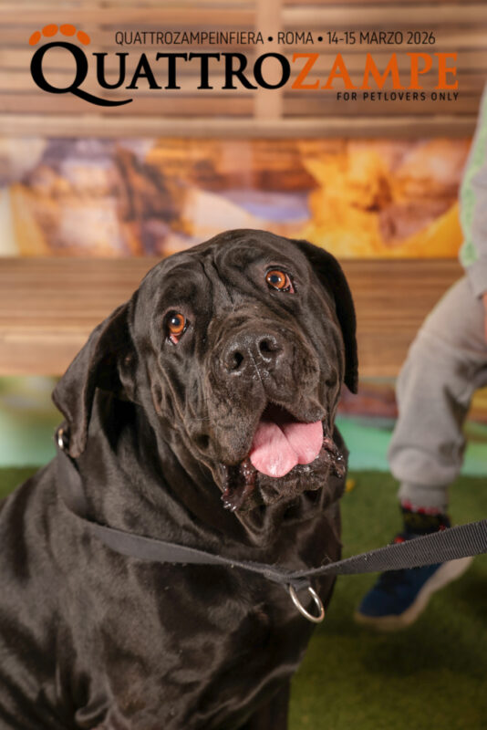 Concorso Fotografico - QuattroZampe in Fiera - Roma - Marzo 2026
