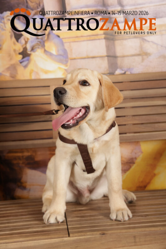 Concorso Fotografico - QuattroZampe in Fiera - Roma - Marzo 2026