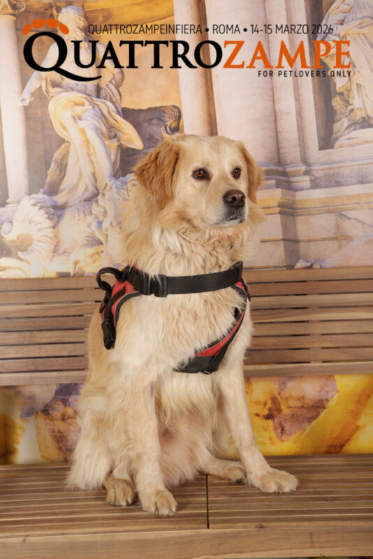 Concorso Fotografico - QuattroZampe in Fiera - Roma - Marzo 2026