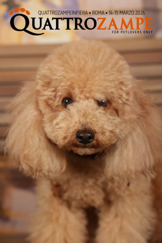 Concorso Fotografico - QuattroZampe in Fiera - Roma - Marzo 2026