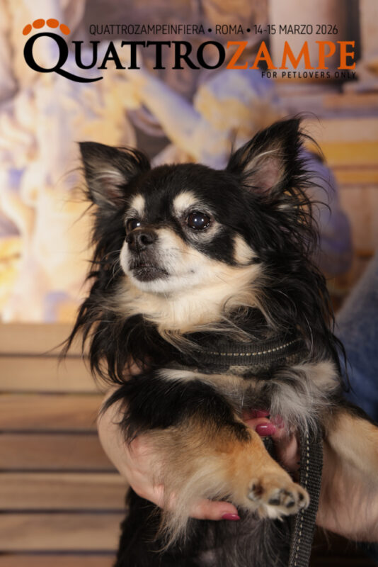 Concorso Fotografico - QuattroZampe in Fiera - Roma - Marzo 2026
