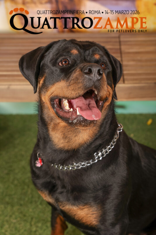 Concorso Fotografico - QuattroZampe in Fiera - Roma - Marzo 2026