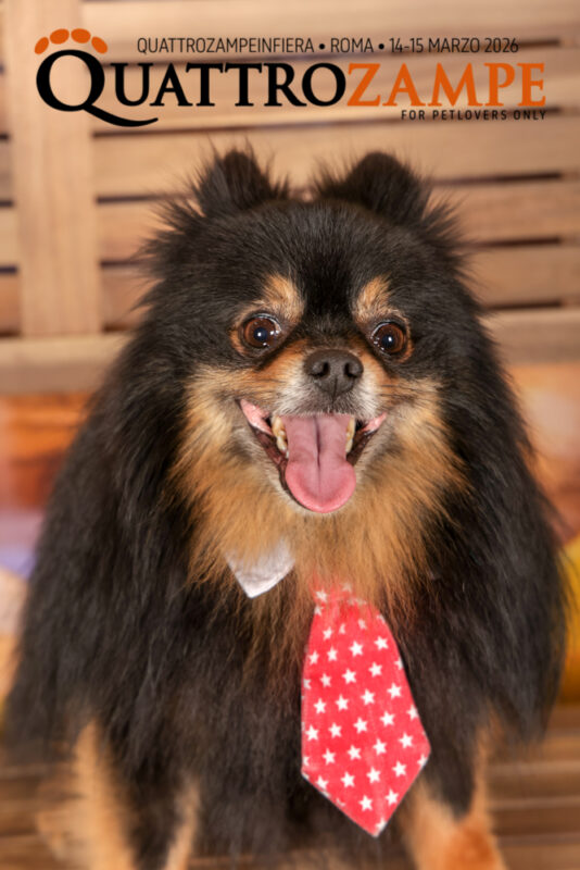 Concorso Fotografico - QuattroZampe in Fiera - Roma - Marzo 2026