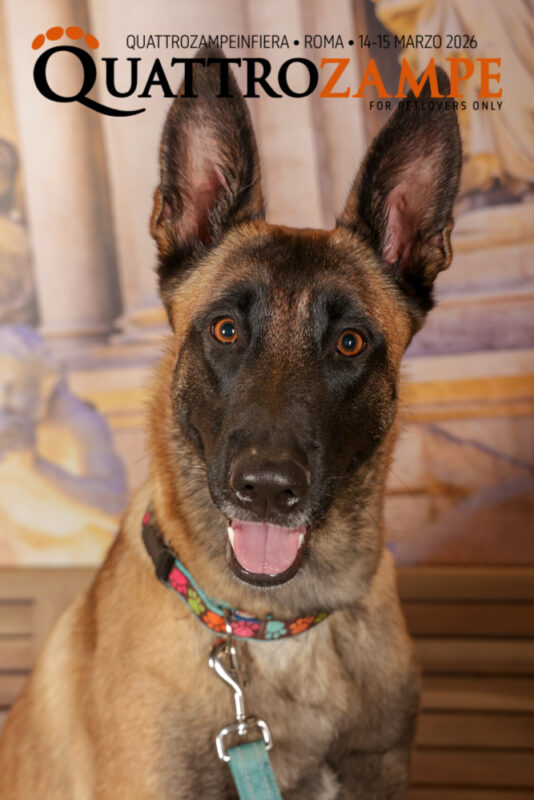 Concorso Fotografico - QuattroZampe in Fiera - Roma - Marzo 2026