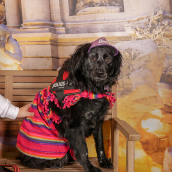 Concorso Fotografico - QuattroZampe in Fiera - Roma - Marzo 2026